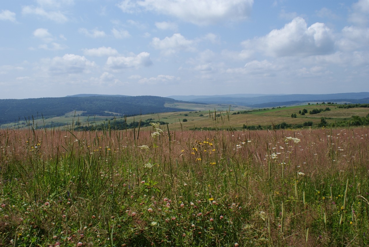 Beskid Niski